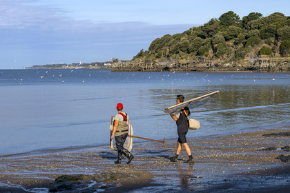France, Loire-Atlantique (44), Baie de Bourgneuf, Pornic, cabanes de pêche traditionnelle au carrelet en bordure de la plage de Crêve-coeur à La Bernerie-en-Retz, Sedrine et Fred font de la peche à pied de crevettes à l'épuisette