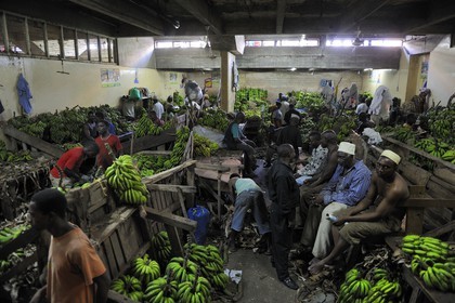 Tanzanie, Dar es-Salaam, le grand marché central de Kariakoo, la salle des bananes dans la partie basse au sous-sol