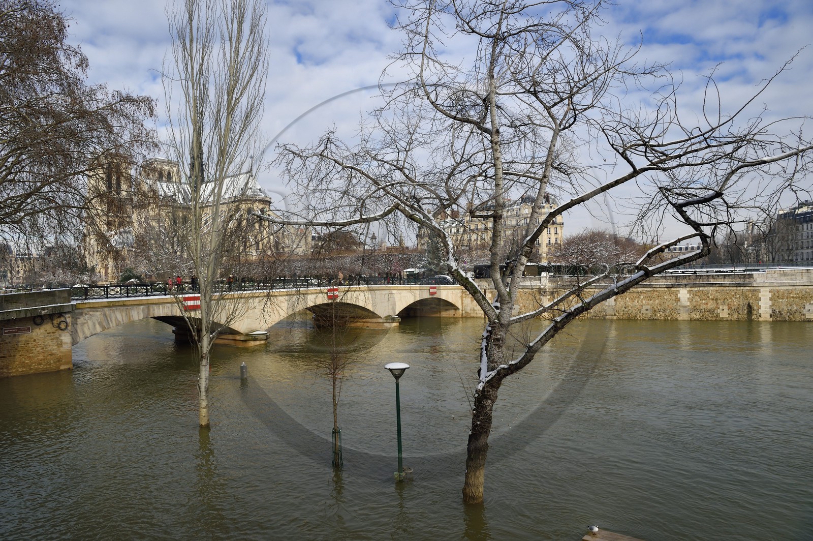 France, Paris (75), les rives de la Seine, classées Patrimoine Mondial de l'UNESCO, la Seine en crue au pont de l'Archevêché et la Cathédrale Notre-Dame sous la neige sur l'Ile de la Cité