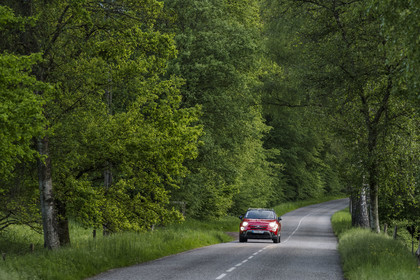 France, Bas-Rhin (67), Parc naturel régional des Vosges du Nord, Lembach, voiture circulant sur la route départementale D3