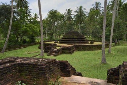 Sri Lanka, province du centre, district de Padeniya, Ruines du XIIème siècle de la capitale temporaire de Paduwasnuwara, dagoba dans le quartier des moines