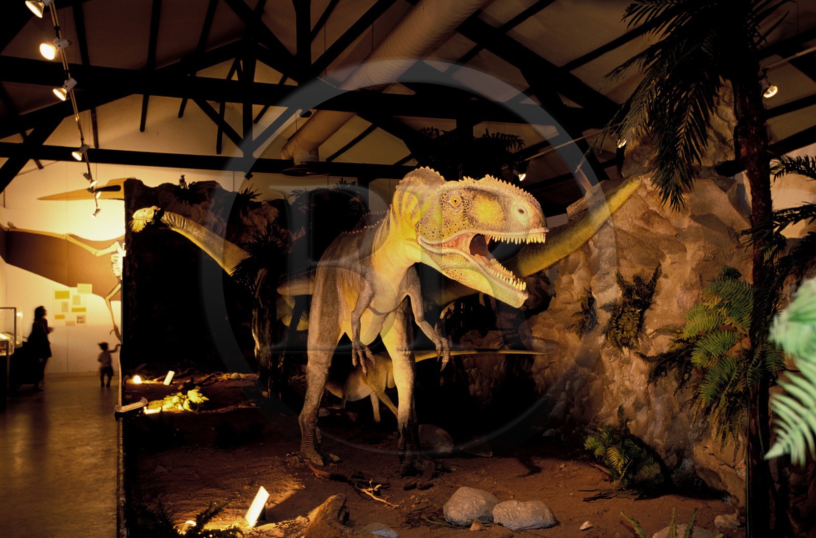 France, Aude (11), Esperaza, le musée des dinosaures