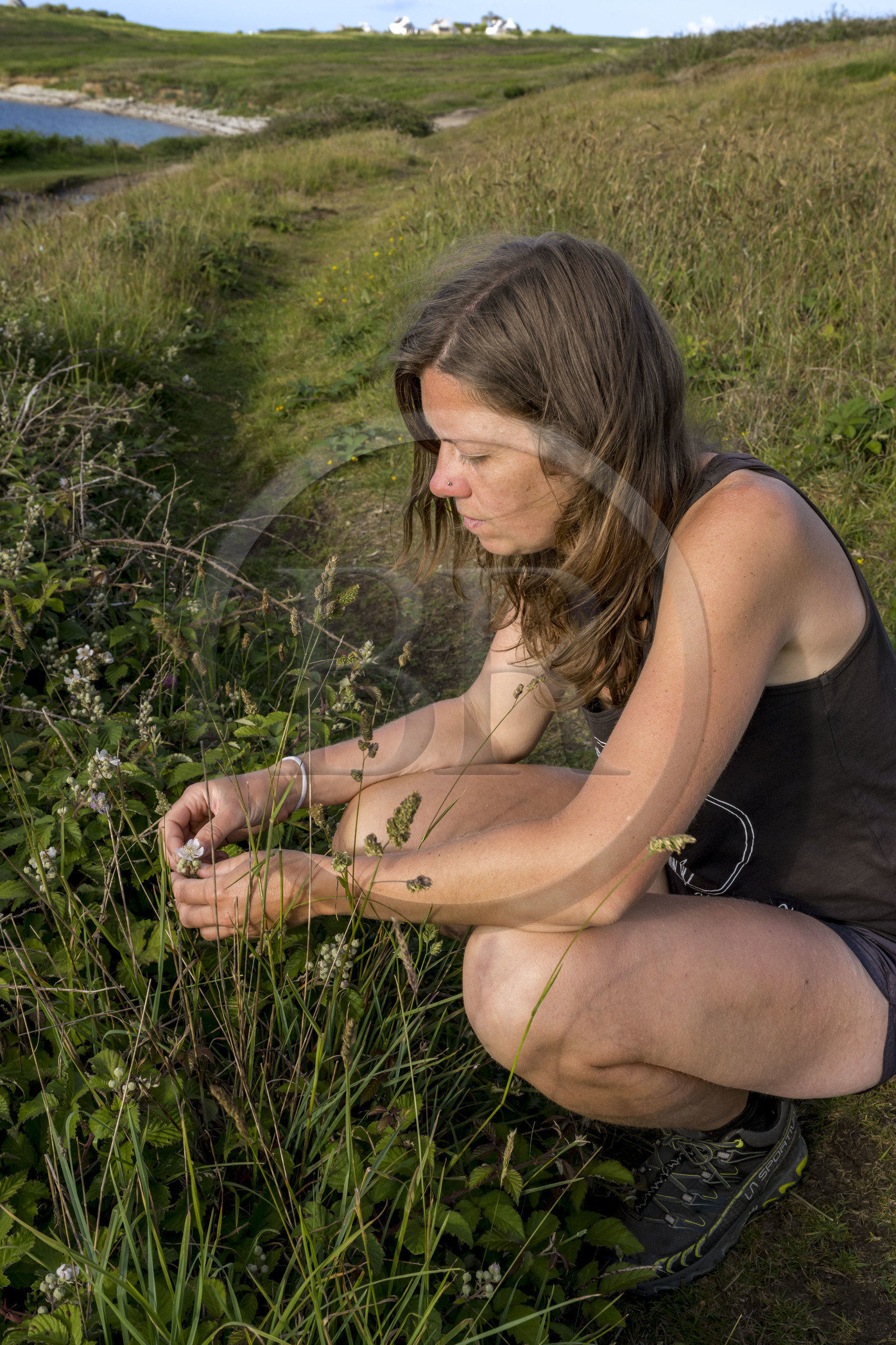 France, Finistère (29), Mer d'Iroise, Ile d'Ouessant, Baie de Lampaul, Porz Goret, Gwenaëlle Héré-Mazé de Melus Moudez qui relie herboristerie et cuisine sauvage