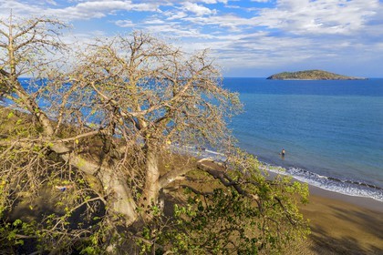 France, Ile de Mayotte, Grande-Terre, Nyambadao, baobab en bordure de la plage de Sakouli et ilot de Bandrélé en arrière plan (vue aérienne)