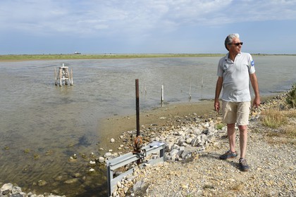 France, Bouches-du-Rhône (13), Parc naturel régional de Camargue, l’étang du Tampan, Patrick Rigaud en charge de la gestion hydraulique du parc vérifie une marteliere, vanne pour l'irrigation de marais salants