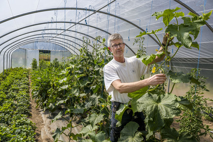France, Ille-et-Vilaine (35), Saint-Méloir-des-Ondes, malouinière de la Bardoulais, son propriétaire Erwan Le Gouellec