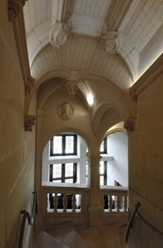 France, Indre-et-Loire (37), château de Chenonceau édifié de 1513 à 1521 de style Renaissance, l'escalier droit
