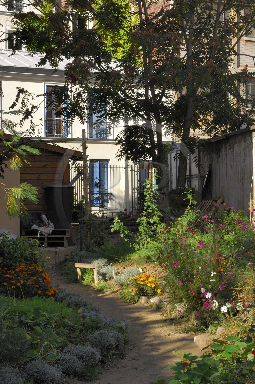 France, Paris (75), passage des Soupirs à Menilmontant, jardin communautaire