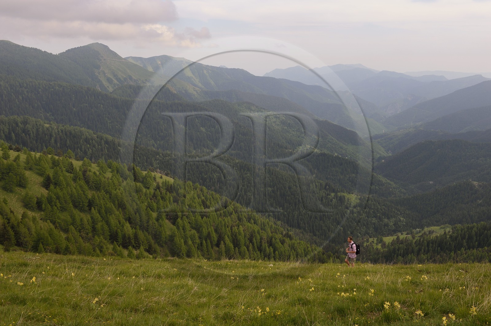 France, Alpes-Maritimes (06), parc national du Mercantour, région de La Bollène-Vésubie, le massif de l’Authion