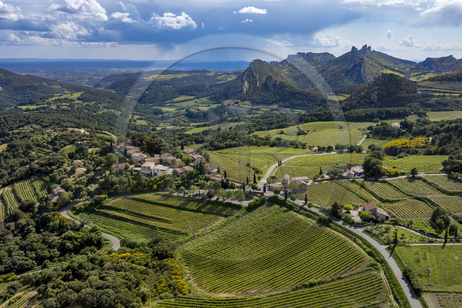 France, Vaucluse (84), Dentelles de Montmirail, le vignoble en restanques entourant le village de Suzette, le Clapis prolongé par le Grand Montmirail à gauche, les Dentelles Sarrasines au centre et le Grand Travers tout à droite en arrière plan (vue aérienne)