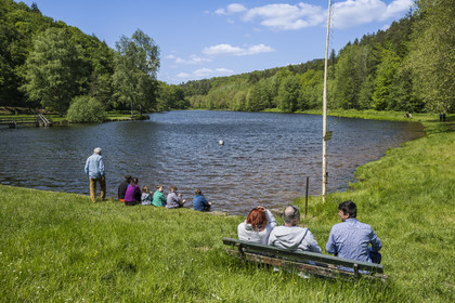 France, Bas-Rhin (67), Parc naturel régional des Vosges du Nord, Lembach, étang du Fleckenstein alimenté par la rivière Sauer
