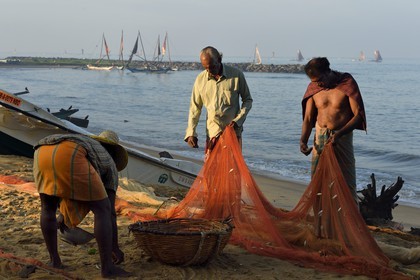 Sri Lanka, Province de l'Ouest, Negombo, pecheurs triant leurs filets sur la plage de Porathota