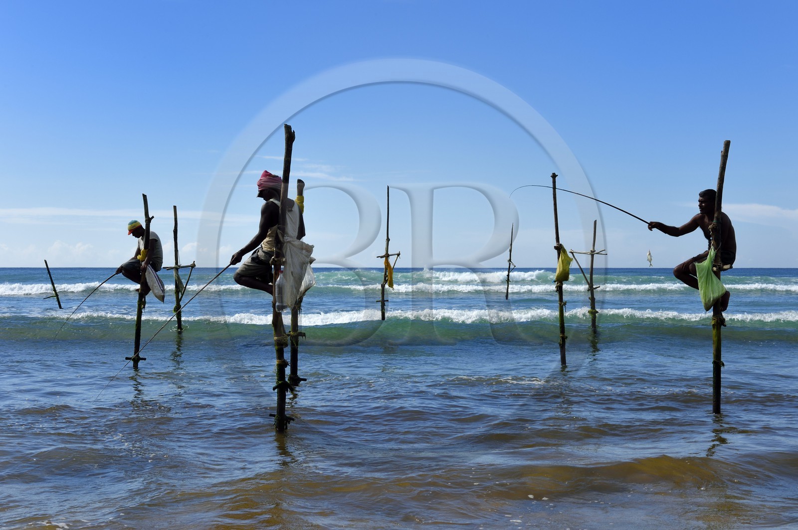 Sri Lanka, Province du Sud, région de Galle, plage de Midigama, pecheurs sur poteaux