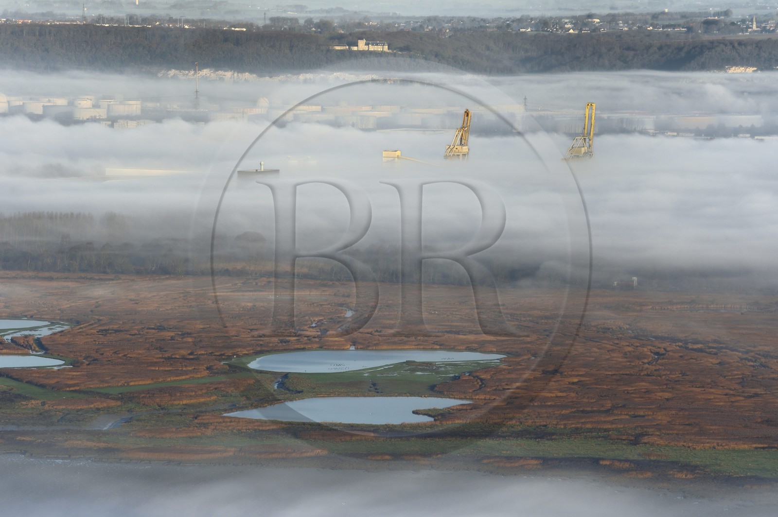France, Seine-Maritime (76), Le Havre, le port du Havre émerge d'une mer de nuages derrière la Réserve Naturelle de l'estuaire de la Seine