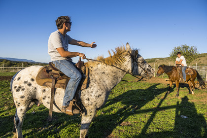 France, Hérault (34), les Causses et les Cévennes, paysage culturel de l'agro-pastoralisme méditerranéen inscrit au Patrimoine Mondial de l'UNESCO, La Vacquerie-et-Saint-Martin-de-Castries, le Mas de Cisco, Julian et son frère Charlie Amposta sur leurs chevaux