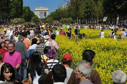 France, Paris (75), opération Nature Capitale 2010 sur les Champs-Elysées