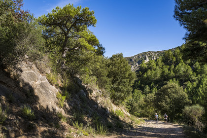 France, Hérault (34), Causses et les Cévennes, paysage culturel de l'agro-pastoralisme méditerranéen, classés Patrimoine Mondial de l'UNESCO, Saint-Guilhem-le-Désert, labellisé Les Plus Beaux Villages de France, randonneurs sur la Via Tolosana sur le Chemin de Saint-Jacques-de-Compostelle au Ravin de la Côte