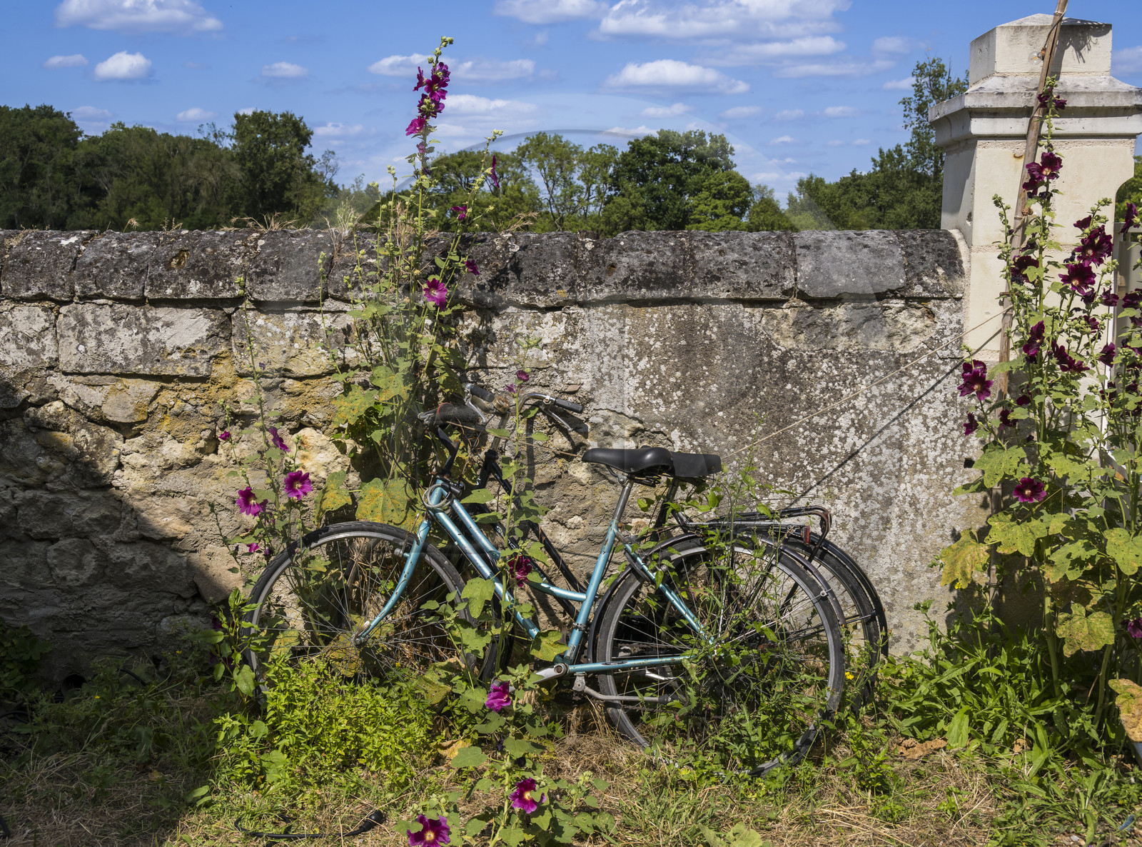 France, Maine-et-Loire (49), vallée de la Loire classée au Patrimoine Mondial par l'UNESCO, Gennes-Val-de-Loire, librairie-café L'Idiot de l'association Gabare And Co dans l'ancienne école des Filles de Chênehutte, bicyclette adossée à un mur