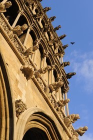 France, Côte d'Or (21), Dijon, l'église Notre-Dame (1230-1250), triple rangées de fausses gargouilles en façade