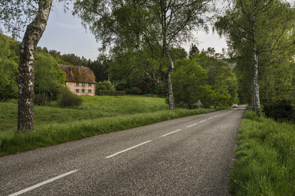 France, Bas-Rhin (67), Parc naturel régional des Vosges du Nord, Lembach, voiture circulant sur la route départementale D3
