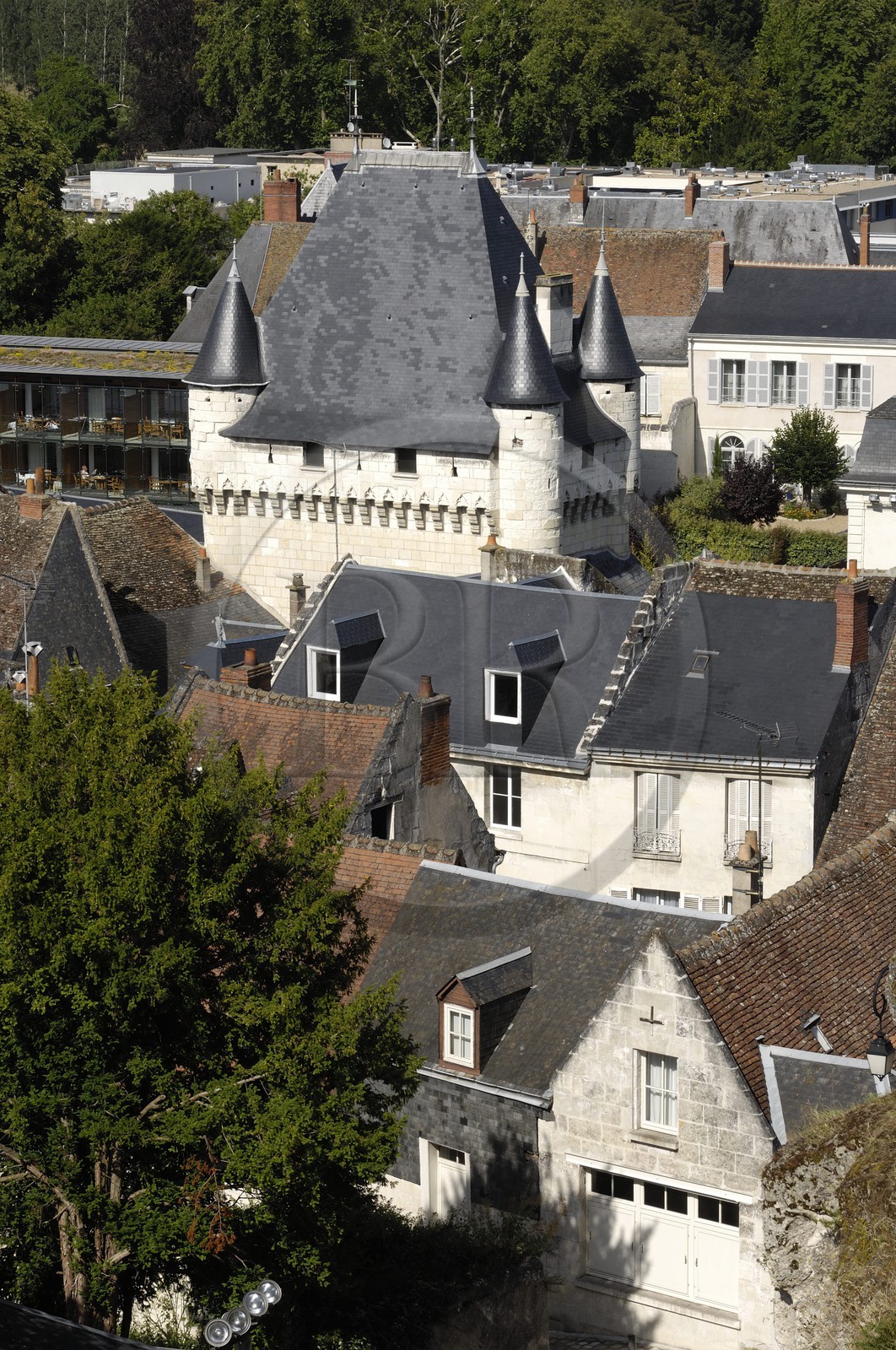 France, Indre-et-Loire (37), Loches, la Porte des Cordeliers