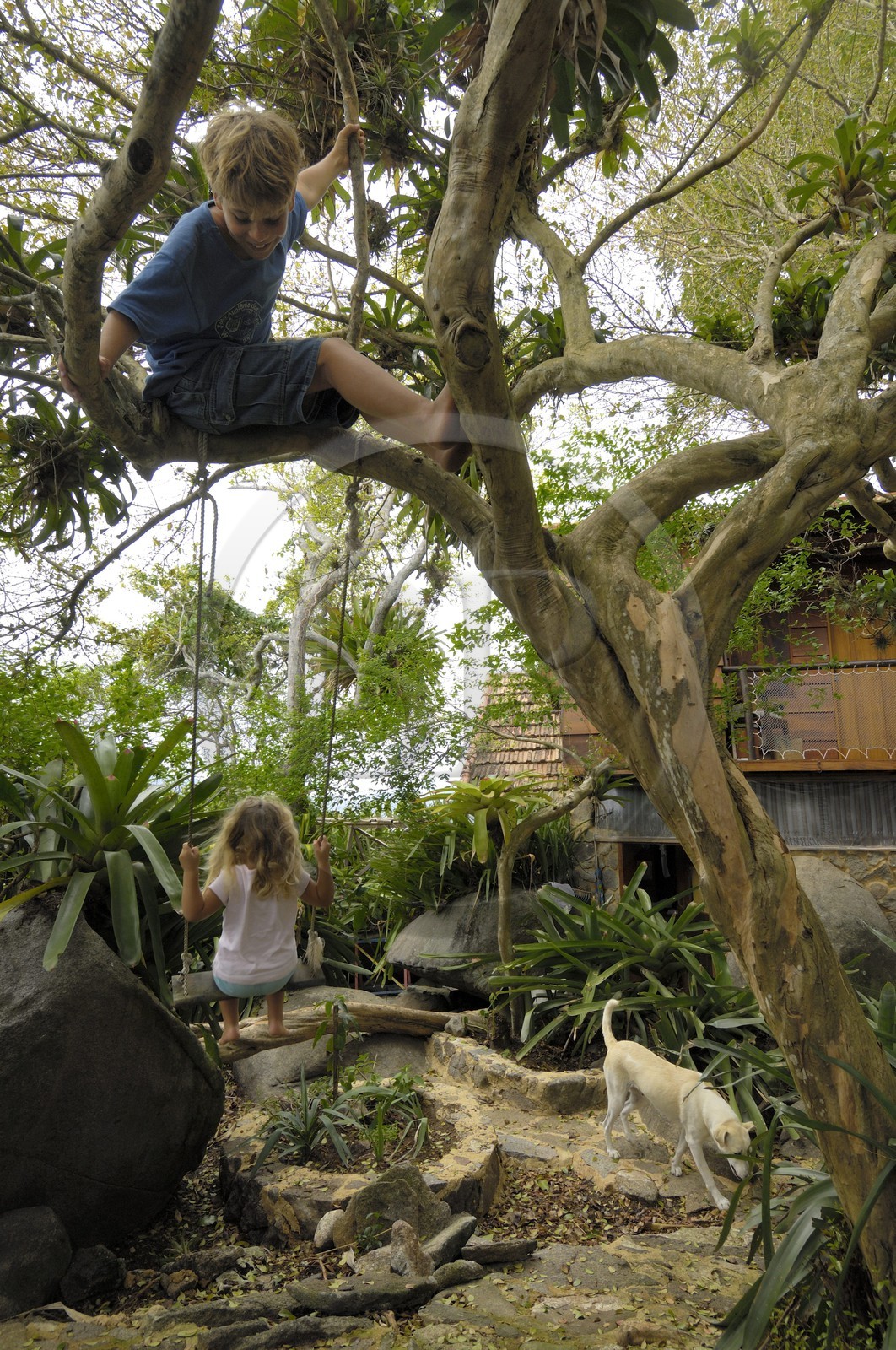 Brésil, Etat de Rio de Janeiro, Paraty, Ile Catimbau, la maison familliale à la mode Robinson Crusoé de Maria Irène Campers, Thomas Campers et sa soeur
