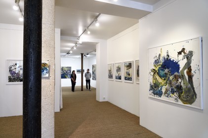 France, Paris, Galerie Schwab Beaubourg, galerie d'Art contemporain, exposition de l'artiste Emmanuelle Renard