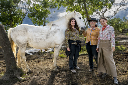 France, Gard (30), Saint-Gilles du Gard, manade Pierre Aubanel & fils, Pauline Aubanel avec le cheval camarguais Greco et les gardians bénévoles au féminin Marie Allard au centre et Celia Boulaire à droite
