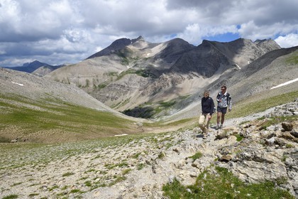 France, Alpes-de-Haute-Provence (04), Uvernet-Fours, parc national du Mercantour, vallée de l'Ubaye, sentier de randonnée du circuit des lacs du col de la Cayolle au Pas du Lausson et le Mont Pelat (3051 m) en arrière plan