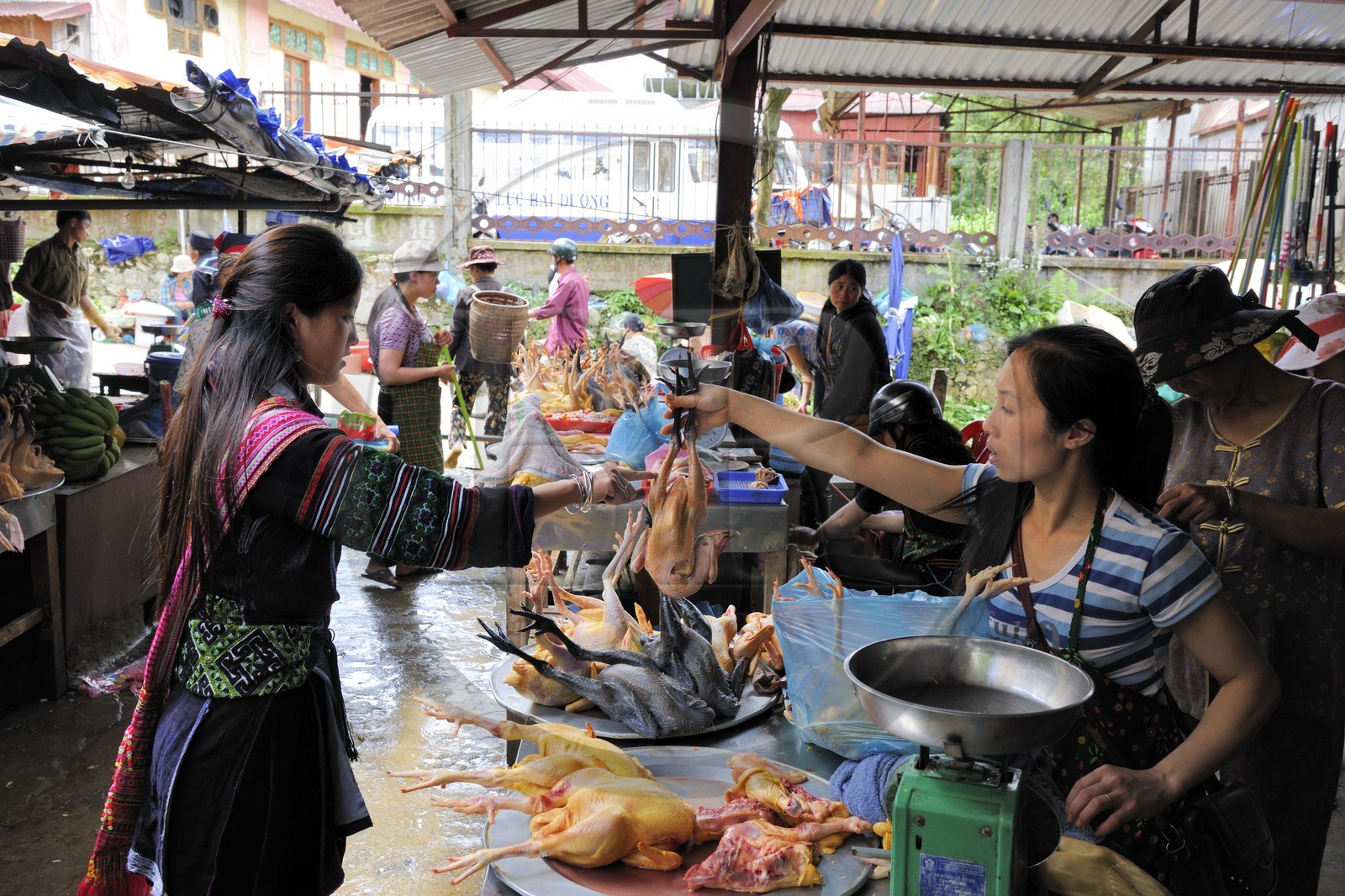 Vietnam, province de Lao Cai, marché de Sapa, la minorité Hmong Noir