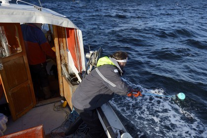 Suède, Västra Götaland, Iles Koster, sortie en mer pour récupérer les casiers à homards