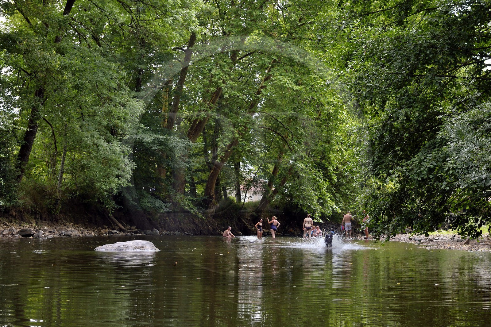 France, Dordogne (24), Périgord Noir, descente de la rivière Auvézère en canoé-kayak entre Cherveix-Cubas et Tourtoirac (avec Vert’Auvézère)