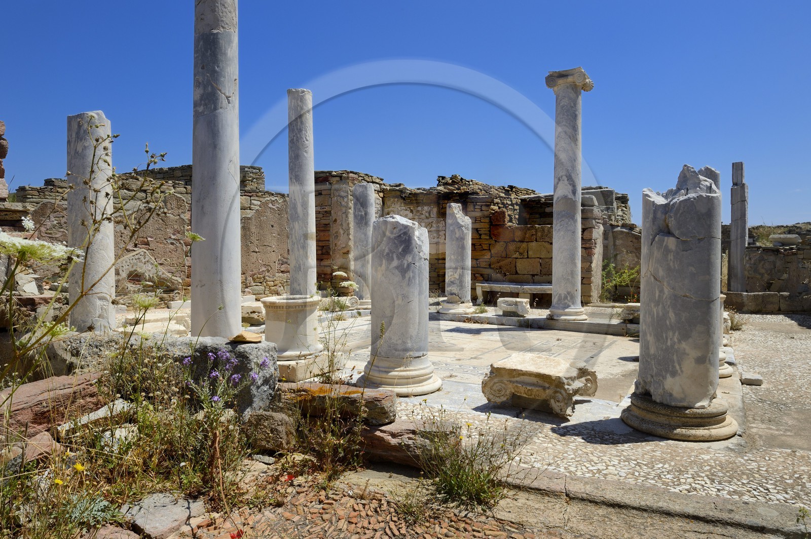 Grèce, île de Delos, classée Patrimoine Mondial de l'UNESCO, site archéologique de Délos, sanctuaire d'Apollon, la plus grande cité antique de la mer Egée, la maison du lac