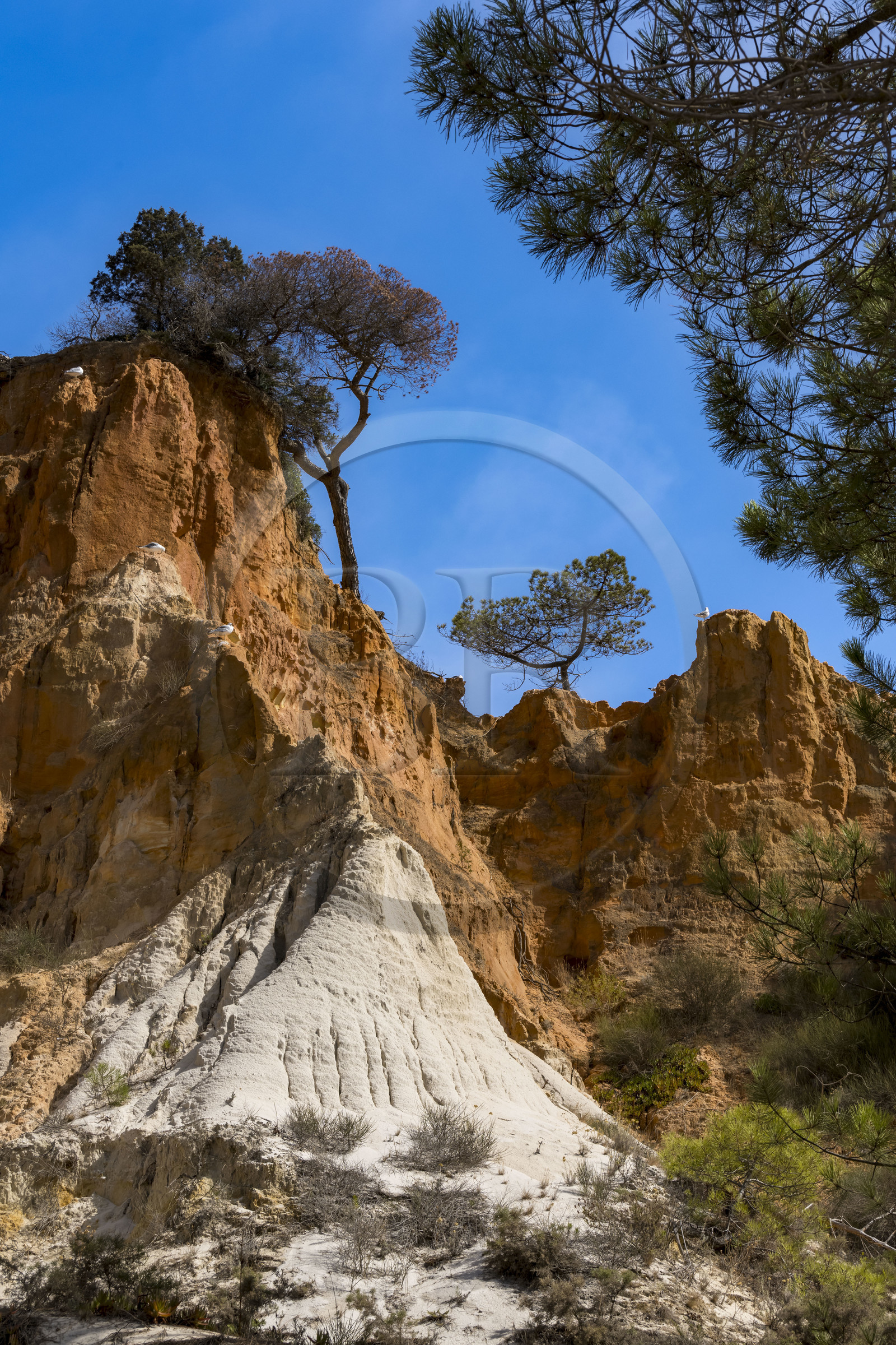 Portugal, Algarve, Olhos de Agua, les falaises rouges de Praia da Falésia