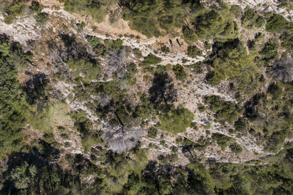 France, Bouches-du-Rhône (13), Aix en Provence, plateau de Bibemus,