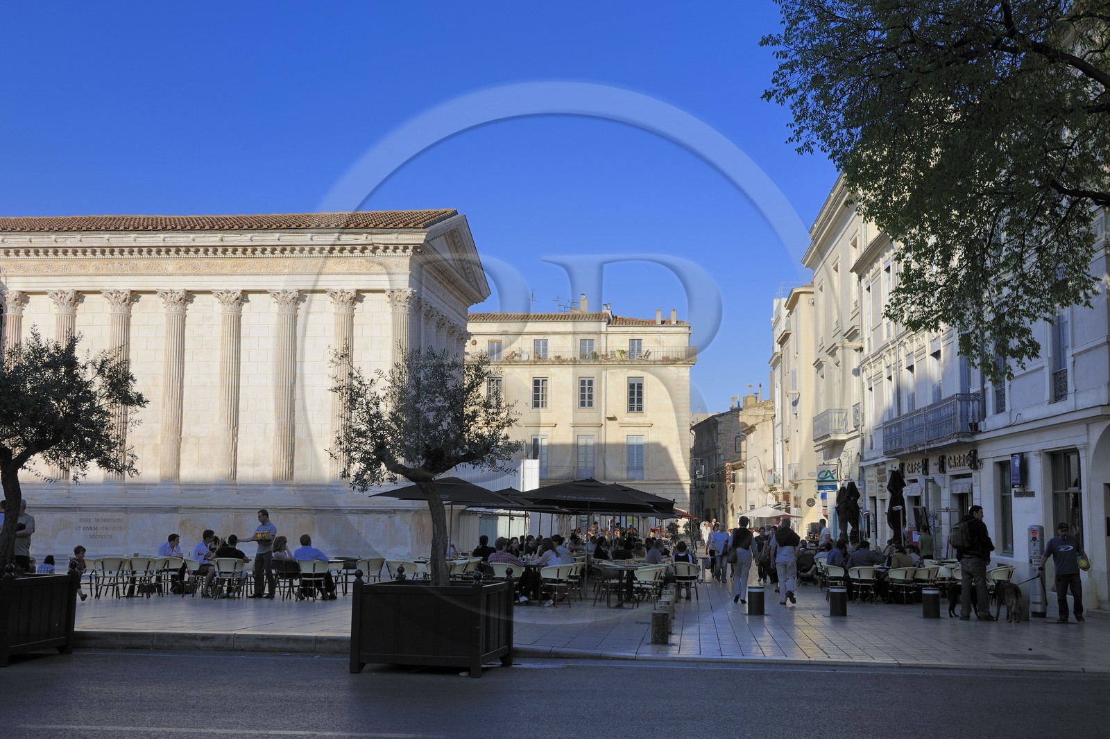France, Gard (30), Nimes, la Maison Carrée, ancien temple romain du Ier siècle avant JC, Musée d'Art Contemporain