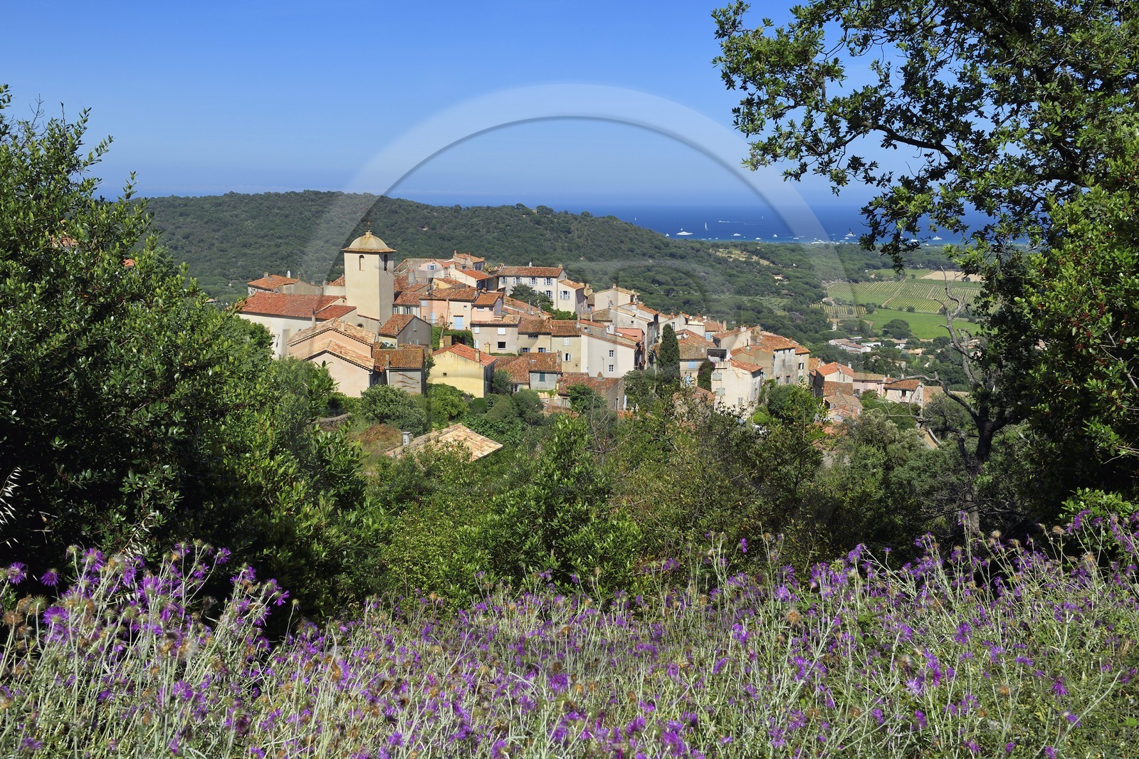France, Var (83), Presqu'Ile de Saint-Tropez, Ramatuelle,