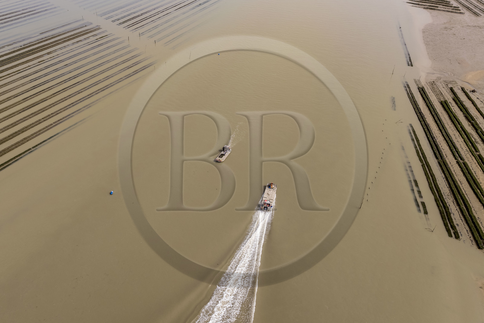 France, Charente-Maritime (17), Ile d'Oléron, Dolus-d’Oléron, bassin de Marennes-Oléron, chenal d’Arceau dans le Pertuis d'Antioche