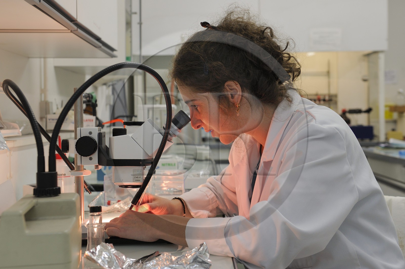 France, Paris (75), Laboratoire du Centre de recherche et de restauration des musées de France (C2RMF), laboratoire de phisico-chimie