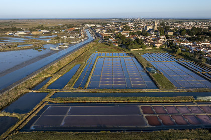 France, Vendée (85), île de Noirmoutier, Noirmoutier-en-l'Ile, les marais du Müllembourg le long de la chaussée Jacobsen du canal d'accès au port, le château médiéval et l'église Saint-Philbert en arrière plan (vue aérienne)