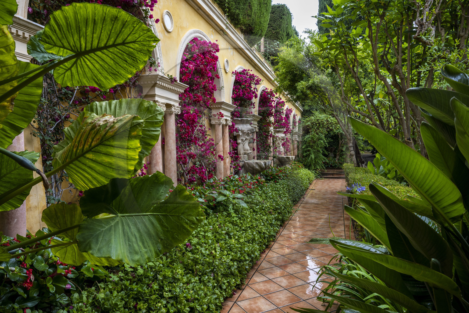 France, Alpes-Maritimes (06), Saint Jean Cap Ferrat, Villa et Jardins Ephrussi de Rothschild, le patio du jardin espagnol