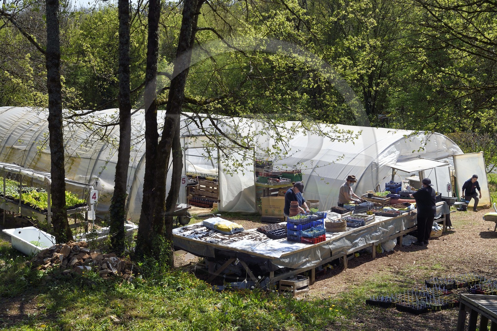 France, Charente (16), Souffrignac, Les Jardins du Bandiat, une ferme spécialisée maraîchage Bio et labellisée Agriculture Biologique fonctionne au travers d'un chantier d'insertion créé par l'association CIDIL