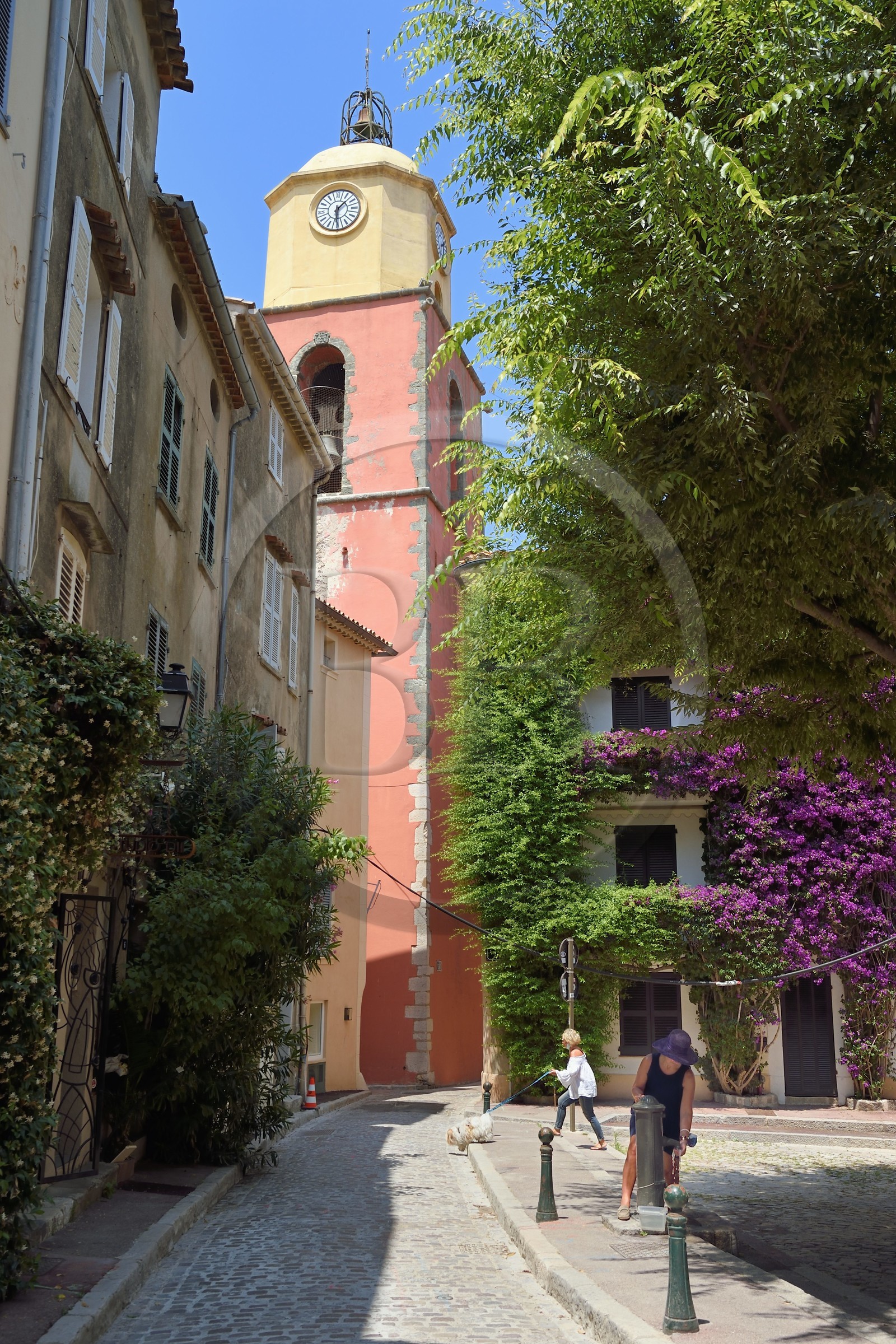 France, Var (83), Saint-Tropez, place de l'Ormeau, église paroissiale Notre-Dame de l'Assomption