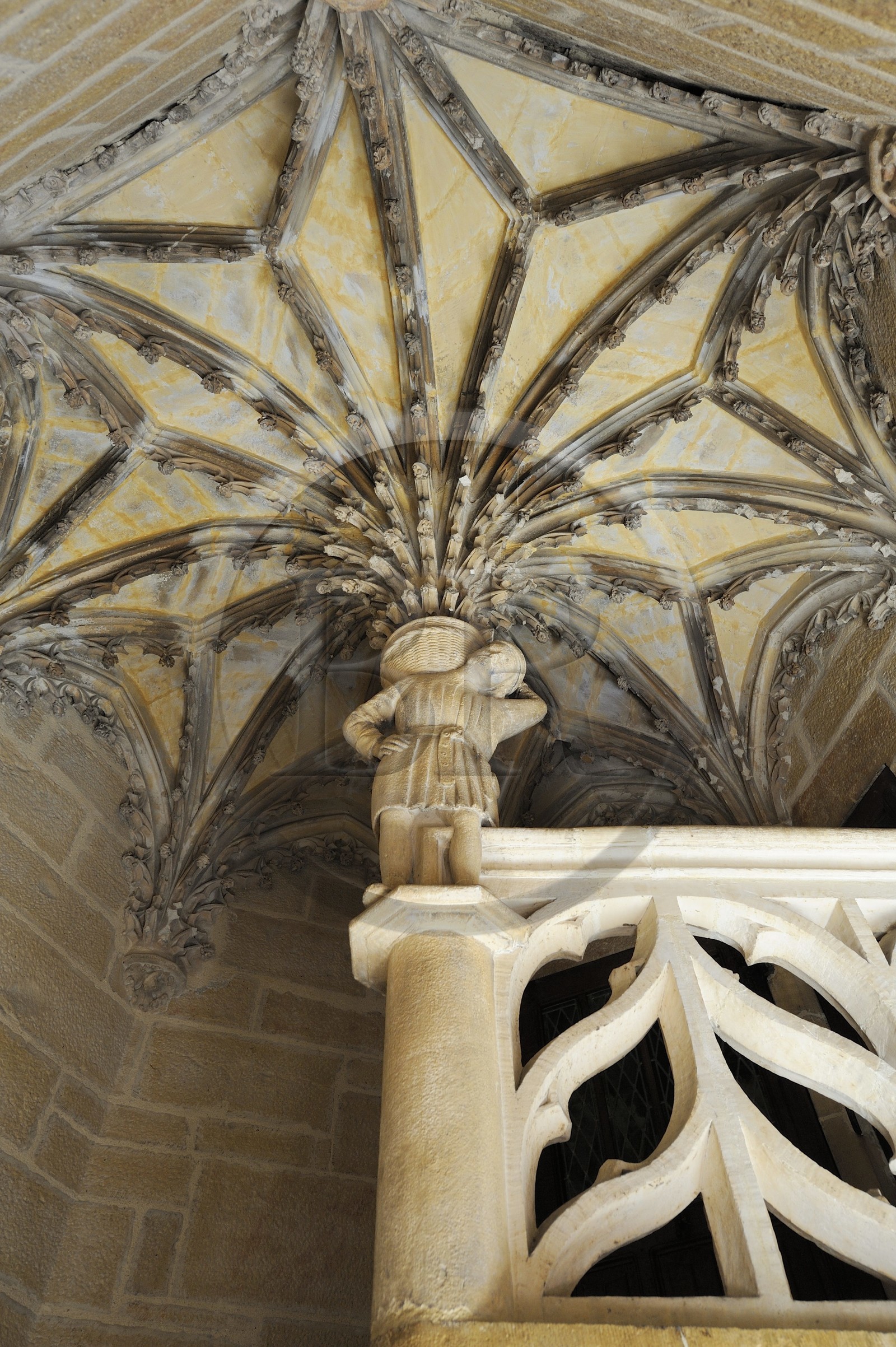France, Côte d'Or (21), Dijon, Hôtel Chambellan rue des Forges, l'escalier à vis gothique flamboyant
