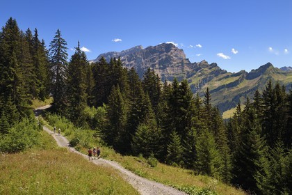 Suisse, canton de Vaud, Villars-sur-Ollon, randonnée du col de Bretaye au col de la Croix en passant par le hameau d'Ensex