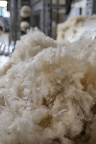 France, Vaucluse (84), L'Isle-sur-la-Sorgue, Manufacture Brun de Vian-Tiran, industrie textile lainière labellisée Entreprise du patrimoine vivant, poil des chèvres du Cachemire