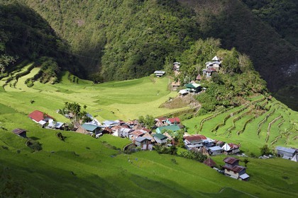 Philippines, province d'Ifugao, les rizières en terrasses de Banaue autour du village de Batad, classées Patrimoine Mondial de l'UNESCO, alimentées par un ancien système d'irrigation depuis la forêt tropicale au-dessus des terrasses