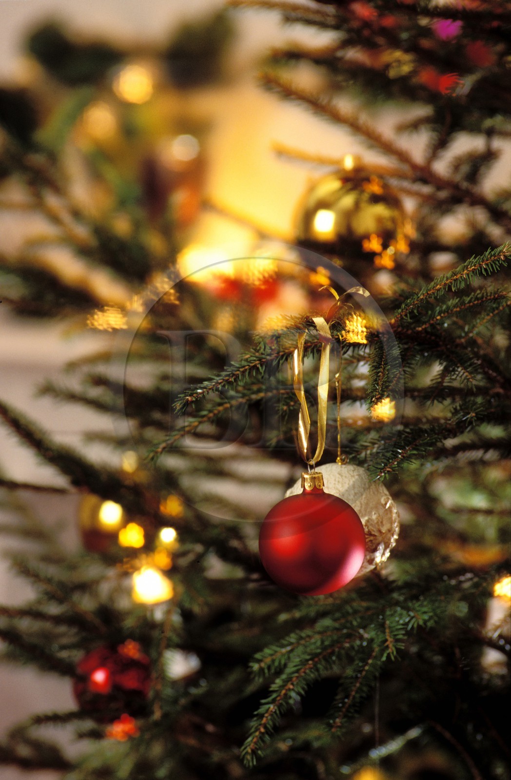 France, détail d'un sapin décoré pour les fêtes de Noël