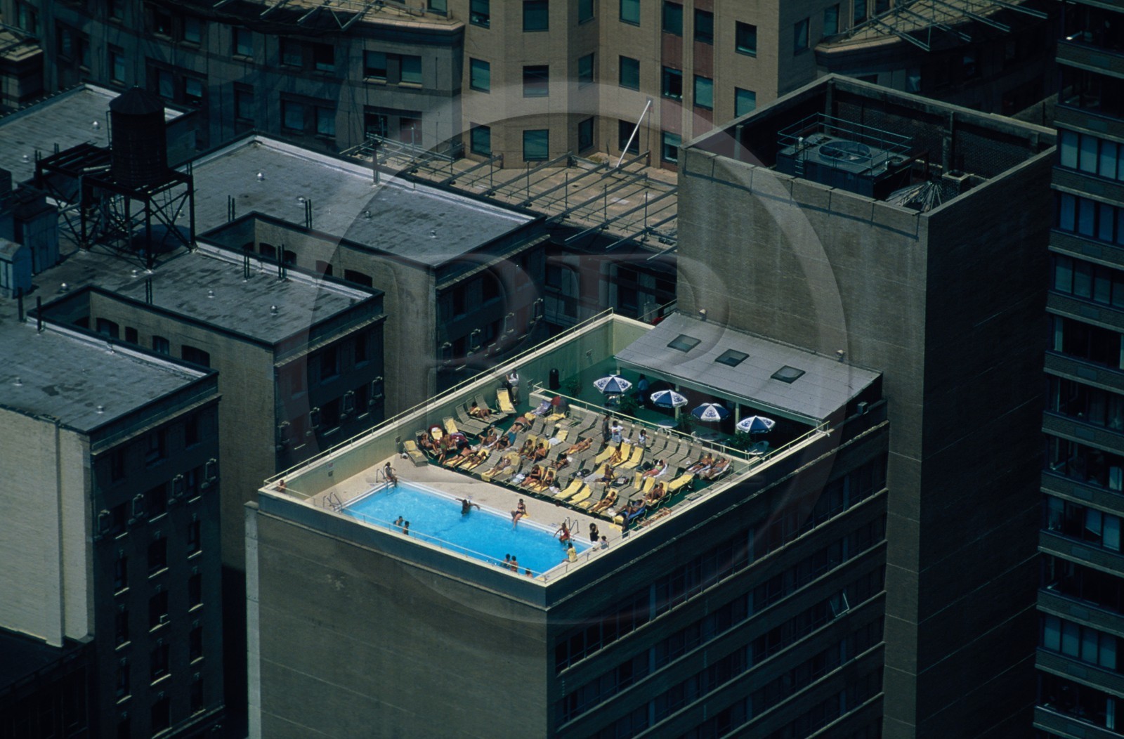 Etats-Unis, New York, Manhattan, une piscine sur le toit d'un building
