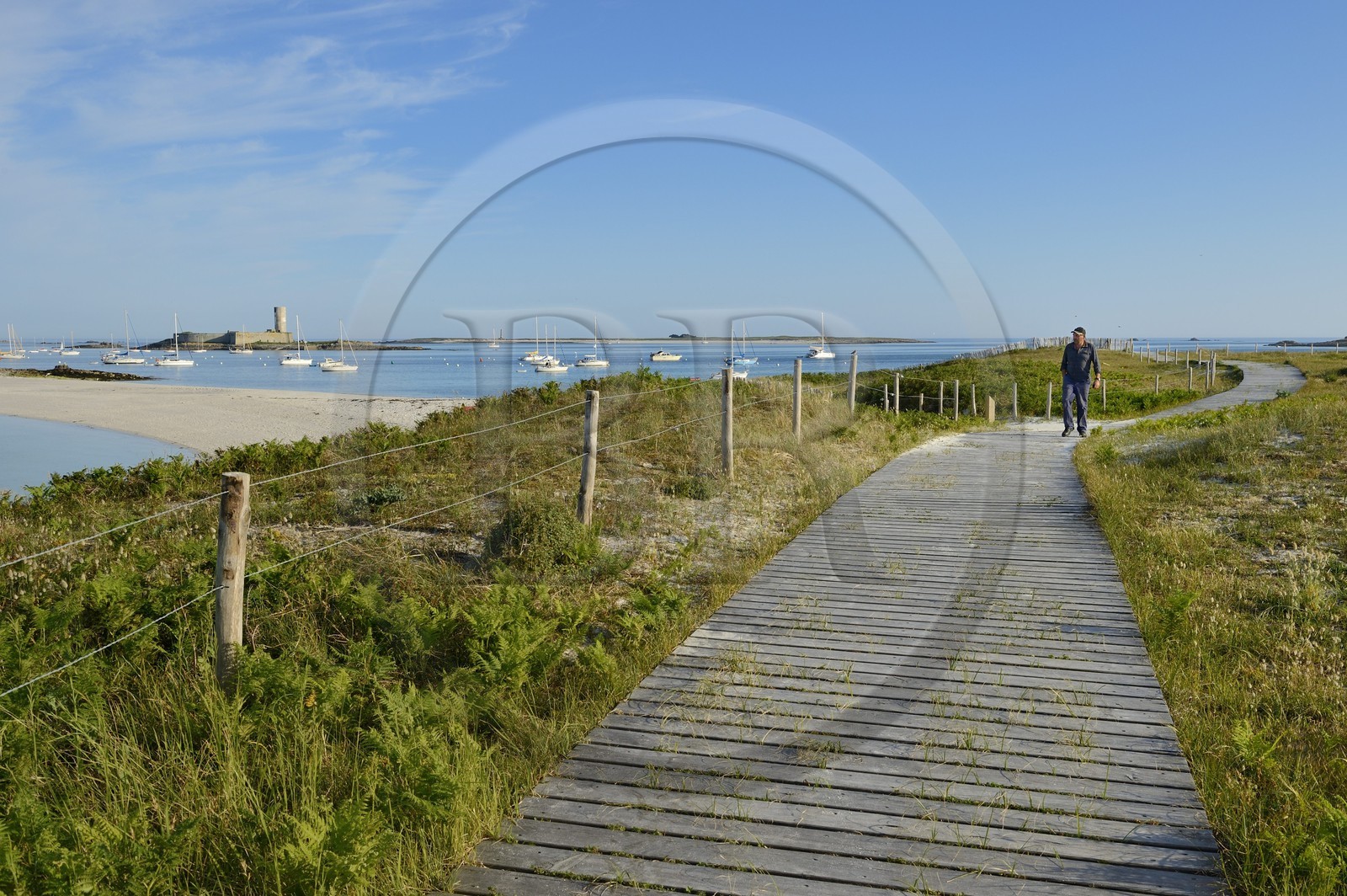 France, Finistère (29), La Foret Fouesnant, archipel des Glénan, Ile Saint-Nicolas